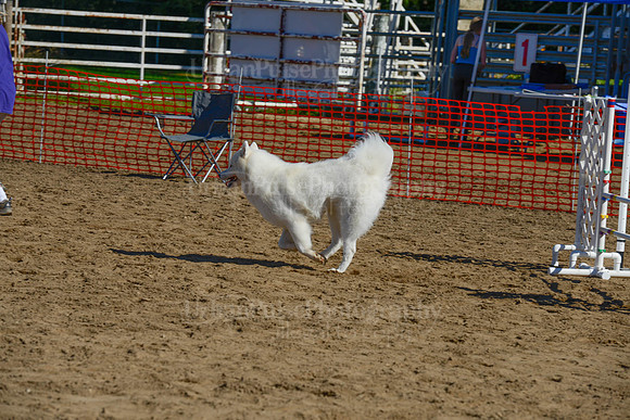 AGILITY-2071
