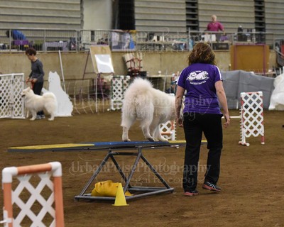 SCA2016_AG MON FAST NOVICE-0113
