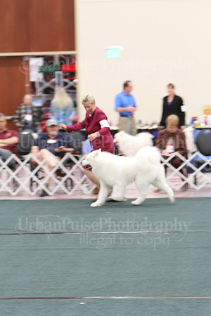 WINNERS-8734