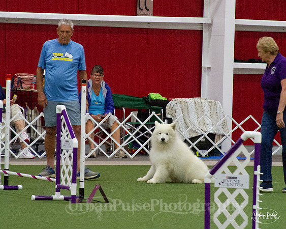 AGILITY_9500
