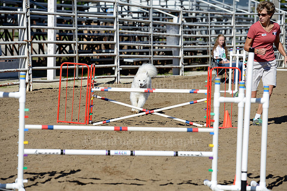 AGILITY-1981