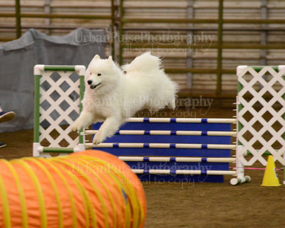 SCA2016_AG MON FAST NOVICE-3575