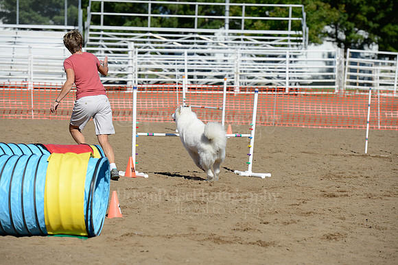 AGILITY-1977