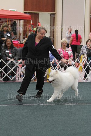 D BOB GR4-3978 2014 SCA National