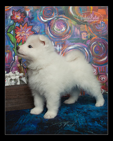 MaterxMaya5.5wks-8642