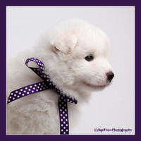MARLOWE 4 WKS-0136