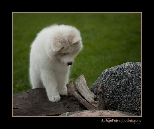 GreenBoy_10wks_web_0579