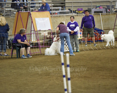 SCA2016_AG MON STD NOVICE-1100