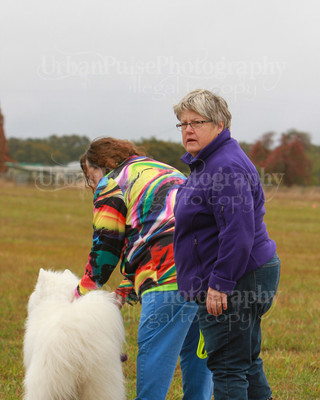 SCA2016_LURE COURSING-7259