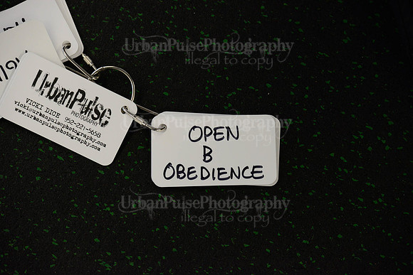OBEDIENCE-RALLY-3845