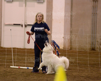 SCA2016_AG MON FAST NOVICE-3583