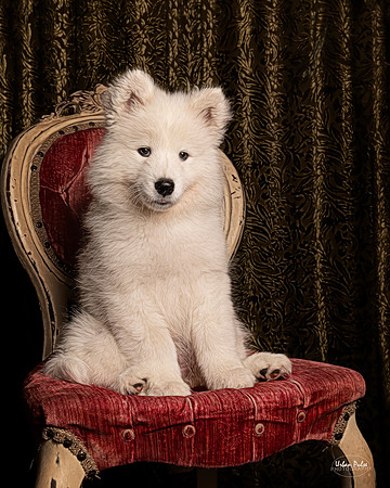 RAGS 10 wks 7865