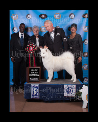 2016 TOP S AWARD-8537