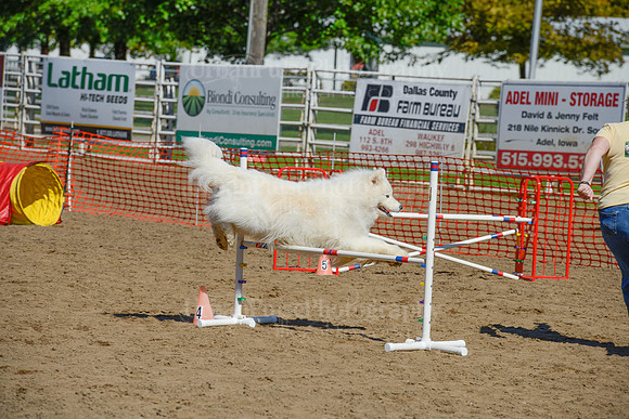 AGILITY-2364