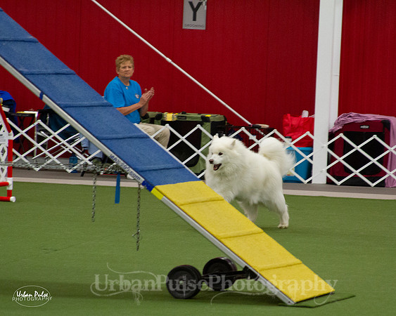 AGILITY_9432
