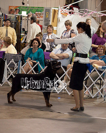 Fargo_2011-4081