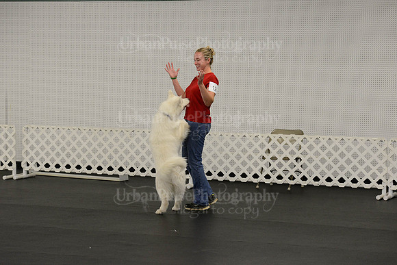 OBEDIENCE-RALLY-3855