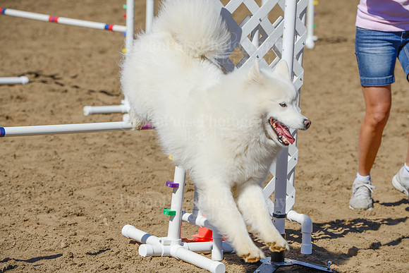 AGILITY-2269