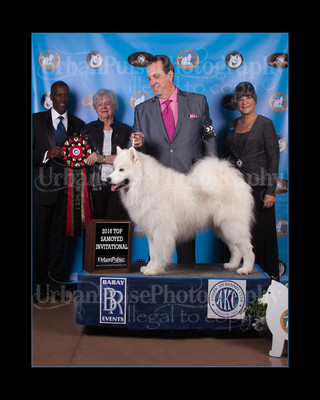 2016 TOP S AWARD-8545